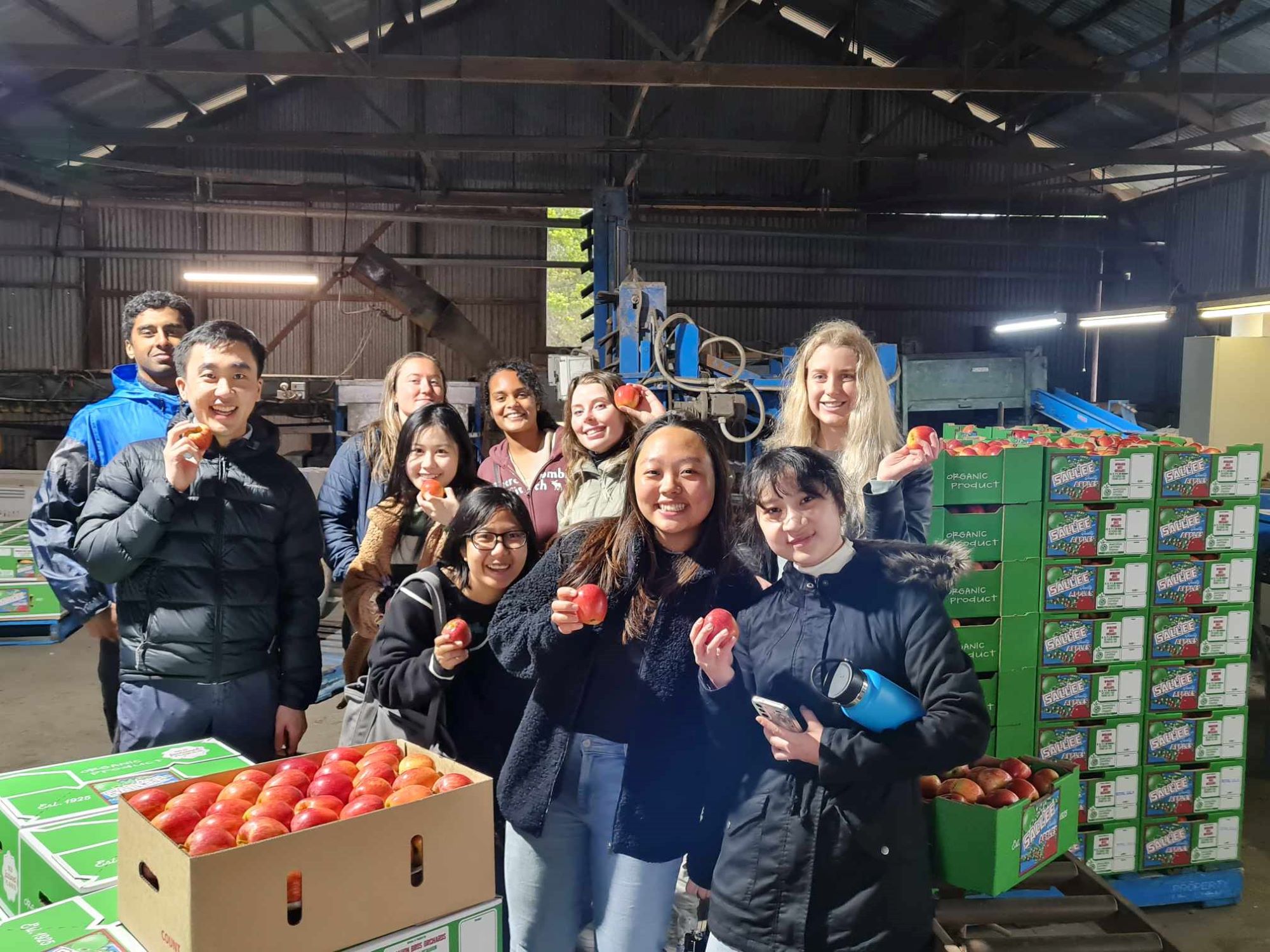 UQ medical students surrounded by packed boxes of apples and one student holding an apple each